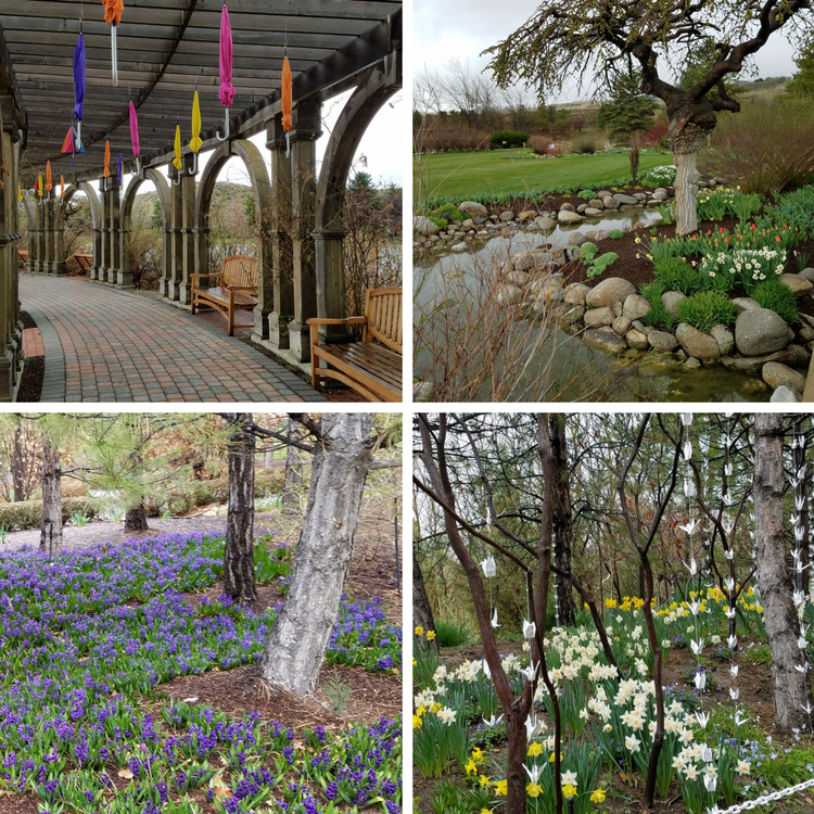 Alt=umbrella art, meandering stream, field of flowers, Origami swans among white flowers