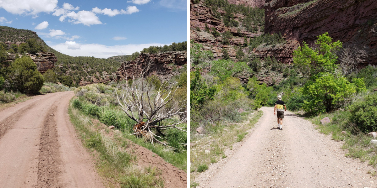 Crouse.Canyon.dirt.road