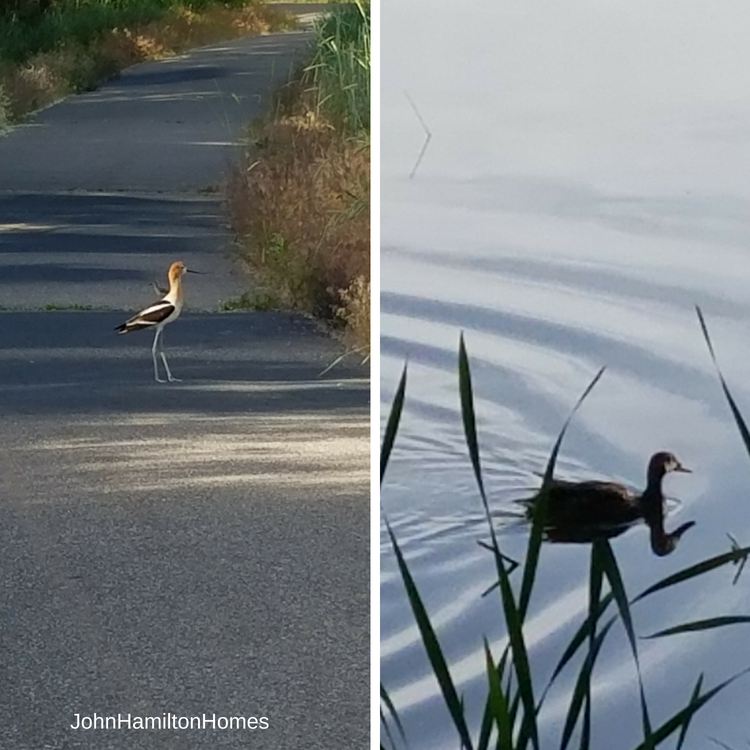 The Jordan River Parkway - a network of trails 