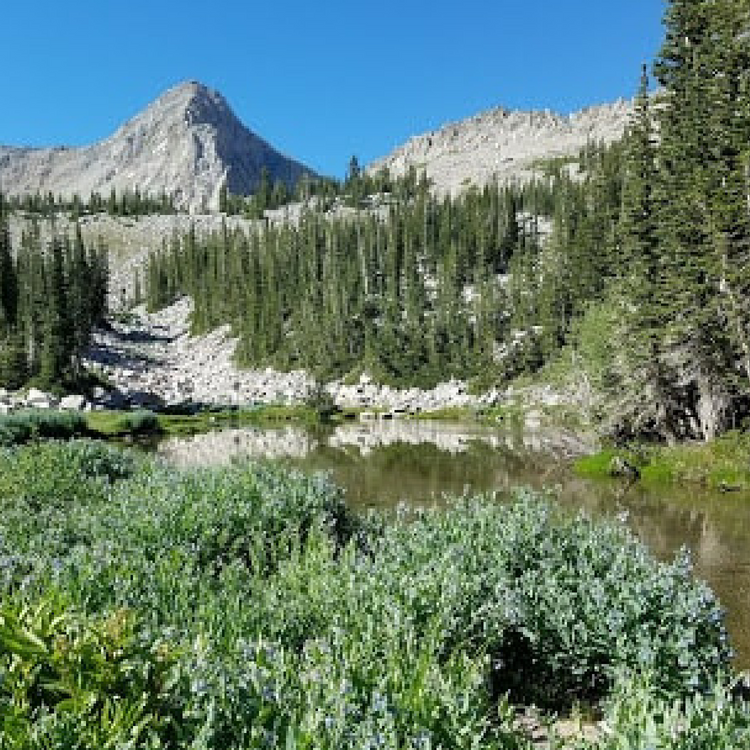 Maybird Gulch Trail - A Trail Less Traveled