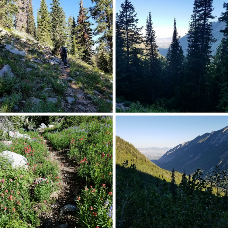 Maybird Gulch Trail - A Trail Less Traveled