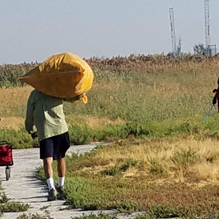 carrying-bag-litter-Antelope-Island-Clean-Up