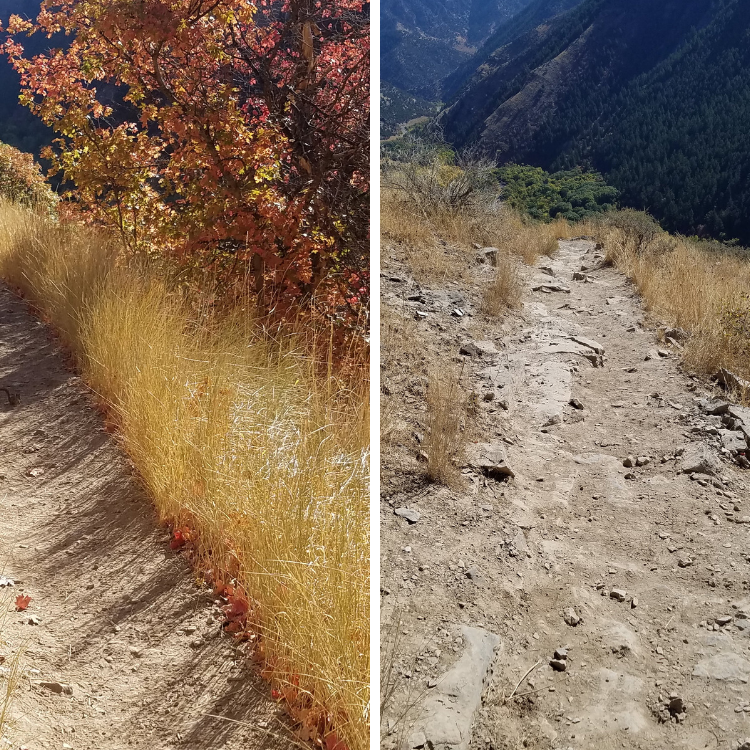 Wind-Cave-Trail-Fall-Foliage