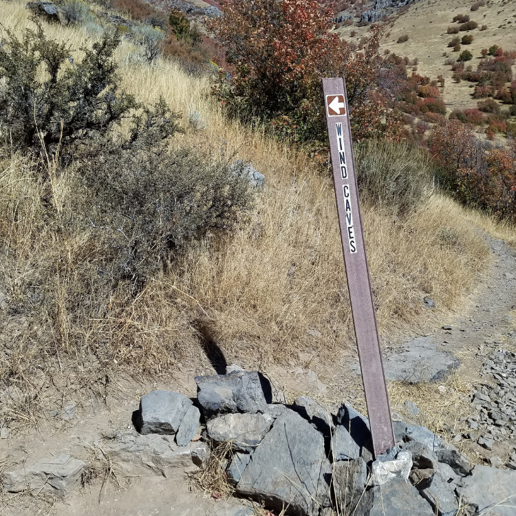 Wind-Cave-Trail-Fall-Foliage