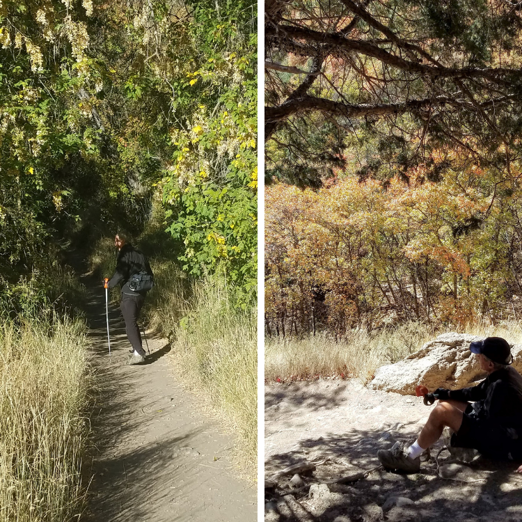 Wind-Cave-Trail-Fall-Foliage