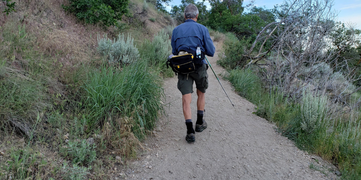 Ogden’s Waterfall Canyon Trail 